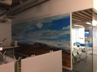 wall graphics
